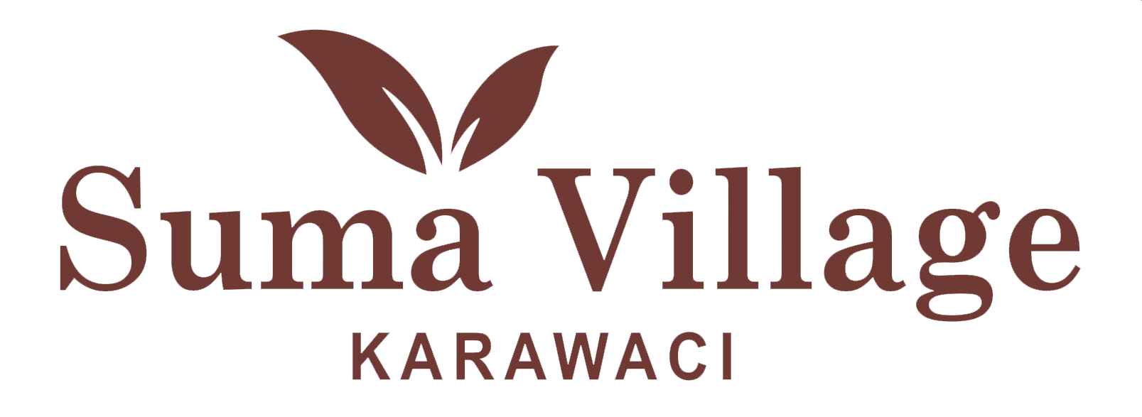 Logo-Summa-Village